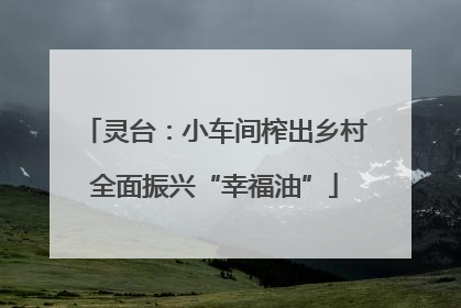 灵台：小车间榨出乡村全面振兴“幸福油”