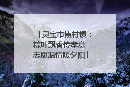 灵宝市焦村镇：粽叶飘香传孝意 志愿温情暖夕阳