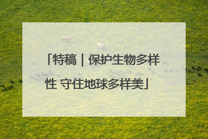特稿｜保护生物多样性 守住地球多样美