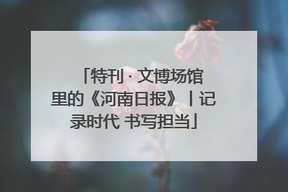 特刊 · 文博场馆里的《河南日报》丨记录时代 书写担当