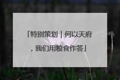 特别策划｜何以天府，我们用粮食作答