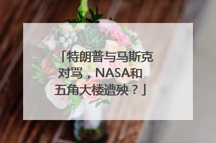 特朗普与马斯克对骂，NASA和五角大楼遭殃？