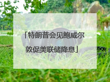 特朗普会见鲍威尔 敦促美联储降息