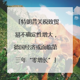 特朗普关税致贸易不确定性增大，德国经济或面临第三年“零增长”