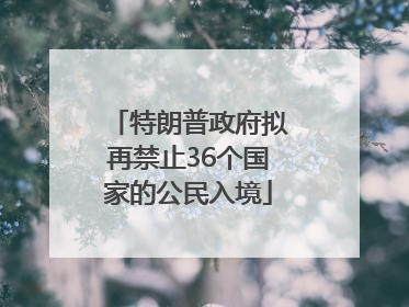 特朗普政府拟再禁止36个国家的公民入境