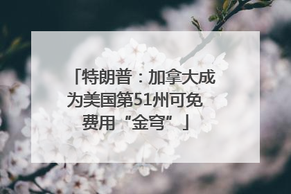 特朗普：加拿大成为美国第51州可免费用“金穹”