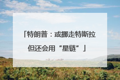 特朗普：或挪走特斯拉 但还会用“星链”