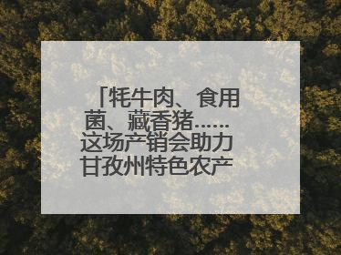 牦牛肉、食用菌、藏香猪……这场产销会助力甘孜州特色农产品走进成都