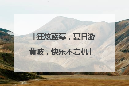 狂炫蓝莓，夏日游黄陂，快乐不宕机