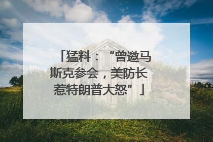 猛料：“曾邀马斯克参会，美防长惹特朗普大怒”
