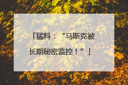 猛料：“马斯克被长期秘密监控！”