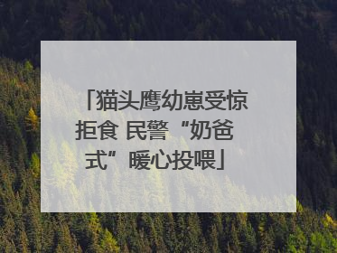猫头鹰幼崽受惊拒食 民警“奶爸式”暖心投喂
