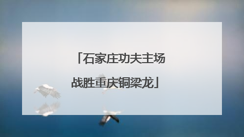 石家庄功夫主场战胜重庆铜梁龙