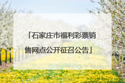 石家庄市福利彩票销售网点公开征召公告
