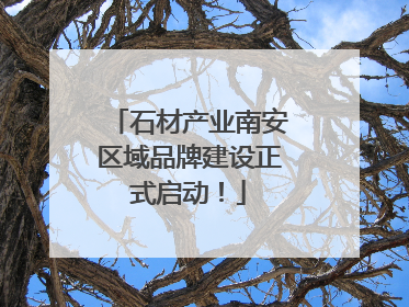 石材产业南安区域品牌建设正式启动！