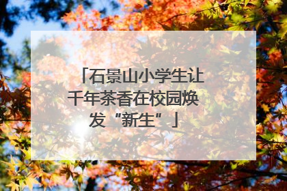 石景山小学生让千年茶香在校园焕发“新生”
