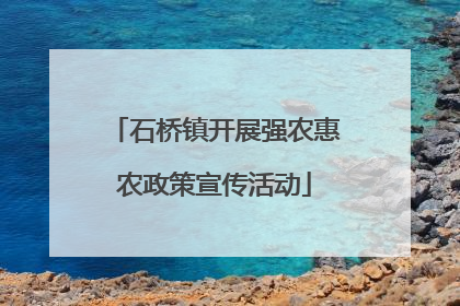 石桥镇开展强农惠农政策宣传活动
