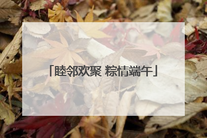睦邻欢聚 粽情端午