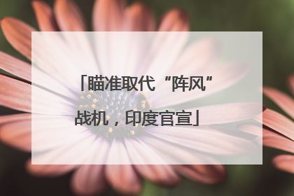 瞄准取代“阵风”战机，印度官宣