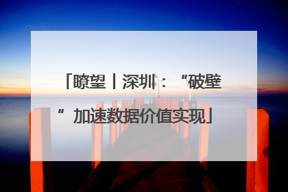 瞭望丨深圳：“破壁”加速数据价值实现