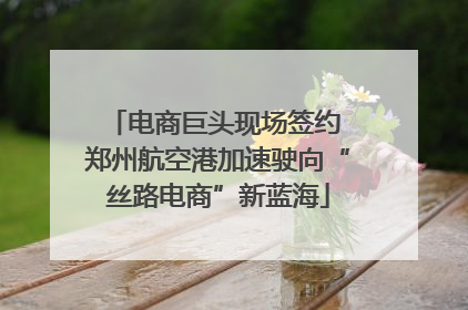 电商巨头现场签约 郑州航空港加速驶向“丝路电商”新蓝海