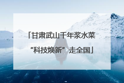 甘肃武山千年浆水菜“科技焕新”走全国