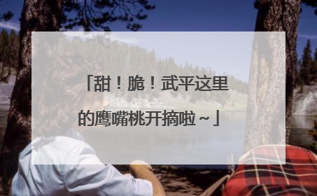 甜！脆！武平这里的鹰嘴桃开摘啦～