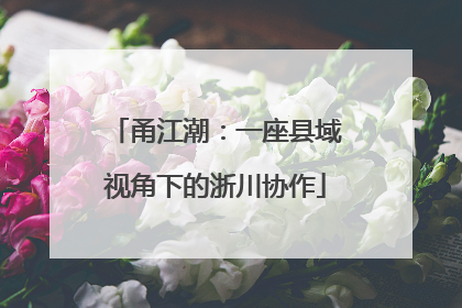 甬江潮：一座县域视角下的浙川协作