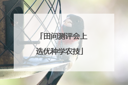 田间测评会上选优种学农技