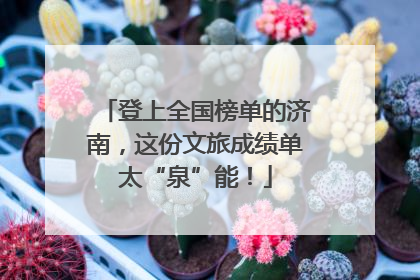 登上全国榜单的济南，这份文旅成绩单太“泉”能！
