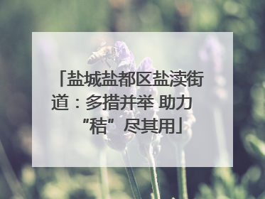盐城盐都区盐渎街道：多措并举 助力“秸”尽其用