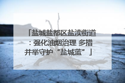 盐城盐都区盐渎街道：强化油烟治理 多措并举守护“盐城蓝”