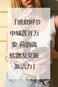 盛夏时节申城莲开万象 荷韵流转激发文旅新活力