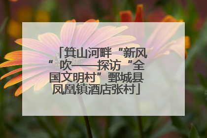 箕山河畔“新风”吹——探访“全国文明村”鄄城县凤凰镇酒店张村