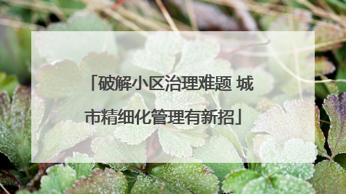 破解小区治理难题 城市精细化管理有新招