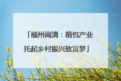 福州闽清：箱包产业托起乡村振兴致富梦