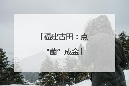 福建古田：点“菌”成金