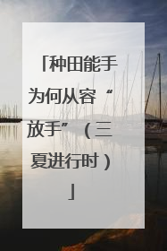 种田能手为何从容“放手”（三夏进行时）