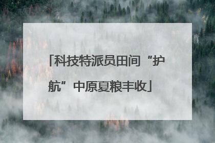 科技特派员田间“护航”中原夏粮丰收
