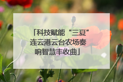 科技赋能“三夏” 连云港云台农场奏响智慧丰收曲
