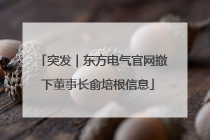 突发｜东方电气官网撤下董事长俞培根信息