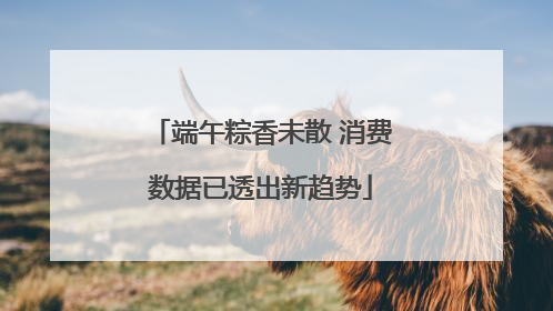 端午粽香未散 消费数据已透出新趋势