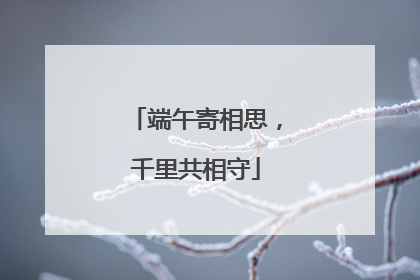 端午寄相思，千里共相守