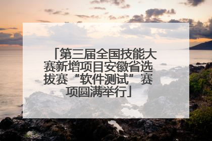 第三届全国技能大赛新增项目安徽省选拔赛“软件测试”赛项圆满举行