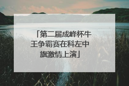 第二届成峰杯牛王争霸赛在科左中旗激情上演