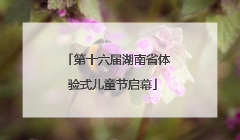 第十六届湖南省体验式儿童节启幕