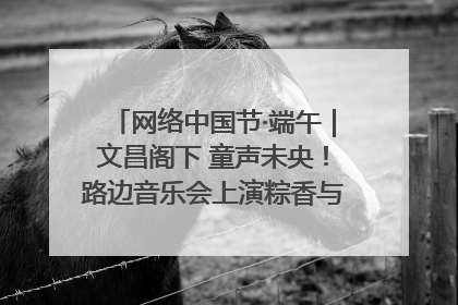 网络中国节·端午｜文昌阁下 童声未央！路边音乐会上演粽香与童真的诗意交响