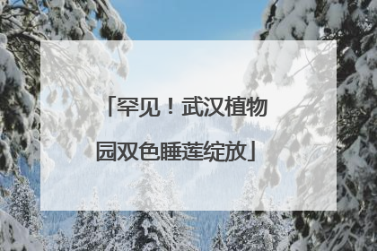 罕见！武汉植物园双色睡莲绽放