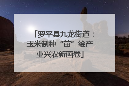 罗平县九龙街道：玉米制种“苗”绘产业兴农新画卷
