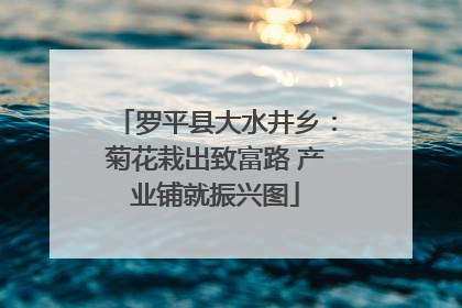 罗平县大水井乡：菊花栽出致富路 产业铺就振兴图